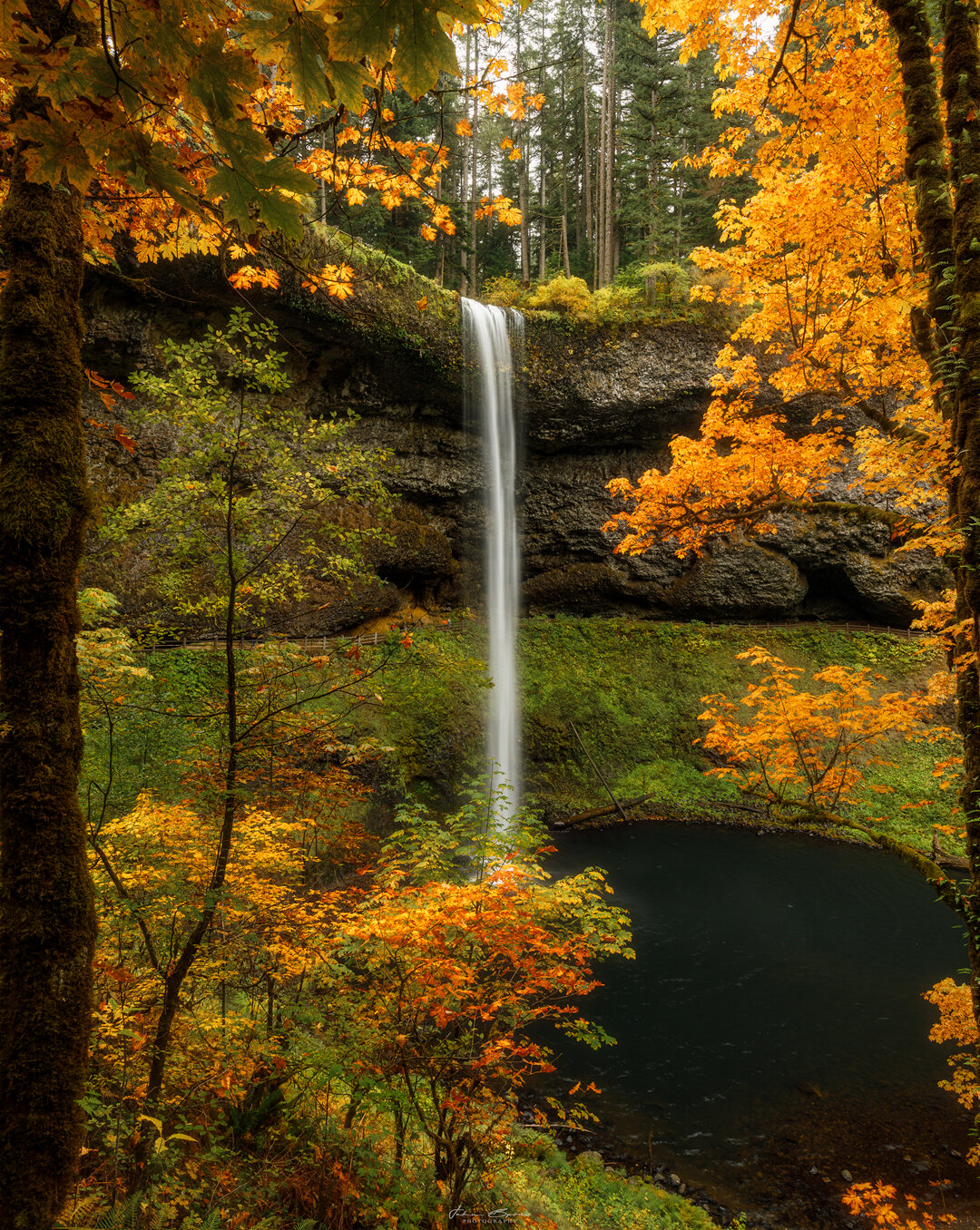 Fall at Silver Falls State Park — John Byrn Photography